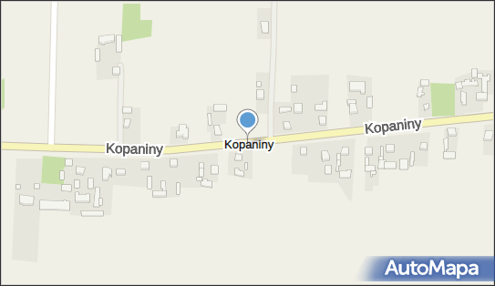 Kopaniny (gmina Sokolniki), Kopaniny - Inne