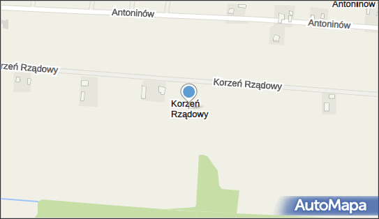 Korzeń Rządowy, Korzeń Rządowy - Inne