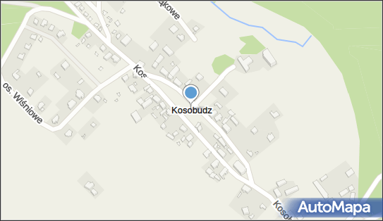 Kosobudz, Kosobudz - Inne