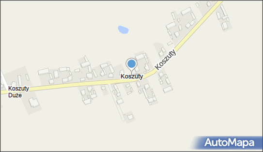 Koszuty (powiat słupecki), Koszuty - Inne