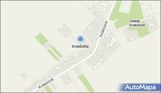 Krokocice, Krokocice - Inne