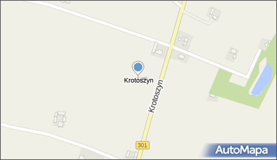 Krotoszyn (powiat radziejowski), Krotoszyn - Inne