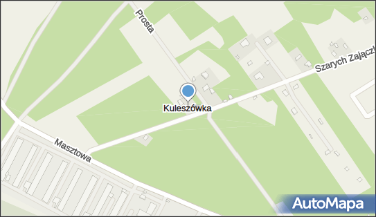 Kuleszówka, Kuleszówka - Inne