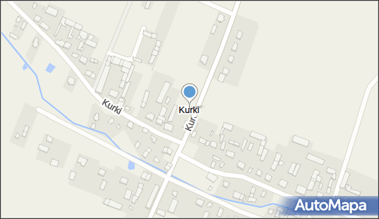 Kurki (powiat działdowski), Kurki - Inne