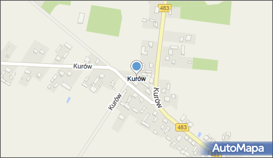 Kurów (powiat bełchatowski), Kurów - Inne