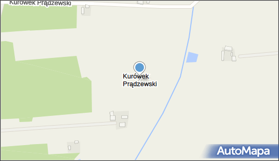 Kurówek Prądzewski, Kurówek Prądzewski - Inne