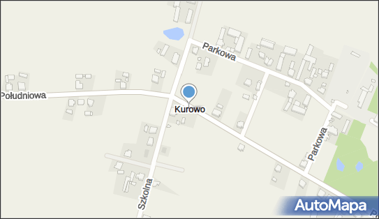 Kurowo (powiat kościański), Kurowo - Inne