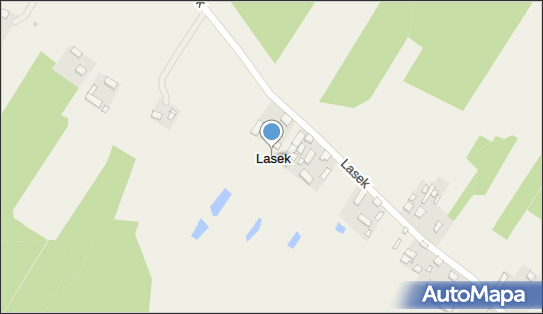 Lasek (województwo łódzkie), Lasek - Inne