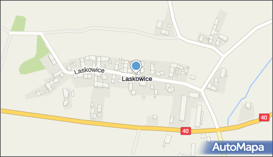 Laskowice (powiat prudnicki), Laskowice - Inne