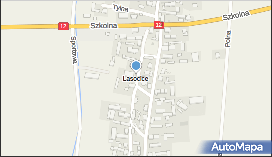 Lasocice (województwo wielkopolskie), Lasocice - Inne