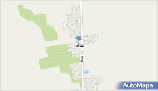 Leliwa (województwo łódzkie), Leliwa - Inne