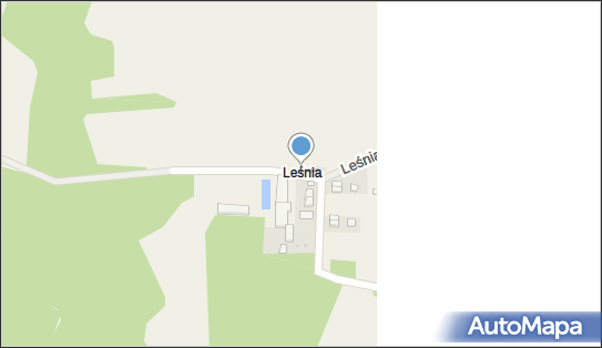 Leśnia, Leśnia - Inne