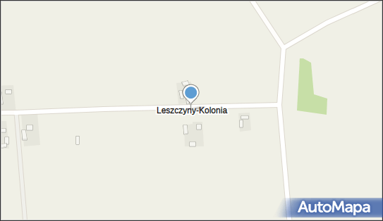 Leszczyny (województwo łódzkie), Leszczyny-Kolonia - Inne