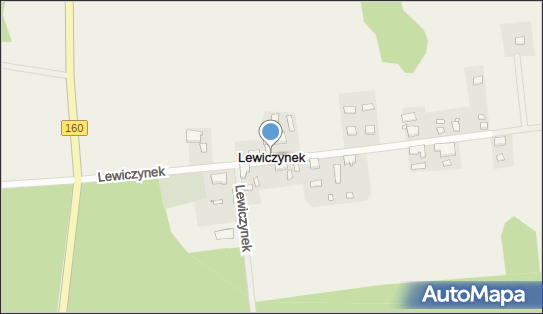 Lewiczynek, Lewiczynek - Inne