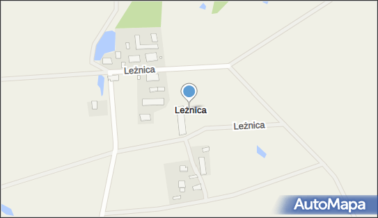 Leżnice, Leżnica - Inne