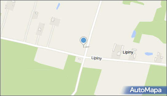 Lipiny (powiat ciechanowski), Lipiny, Lipiny 06-450 - Inne