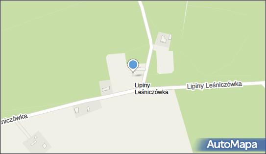 Lipiny (powiat włocławski), Lipiny Leśniczówka 87-880 - Inne