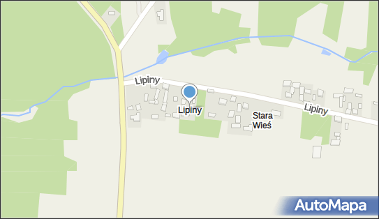 Lipiny (powiat włoszczowski), Lipiny - Inne