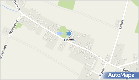 Lipowa (powiat opolski), Lipowa - Inne