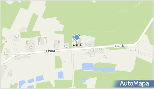 Lisna, Lisna - Inne