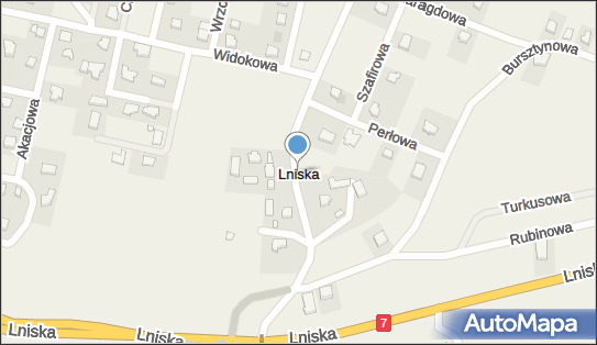 Lniska, Lniska - Inne