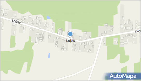 Łojew, Łojew - Inne