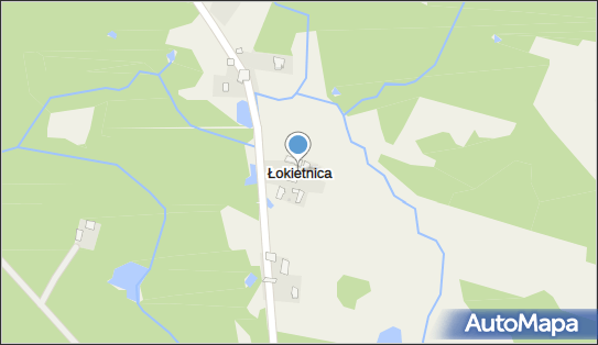 Łokietnica, Łokietnica - Inne