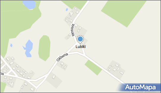 Lubiki, Lubiki - Inne