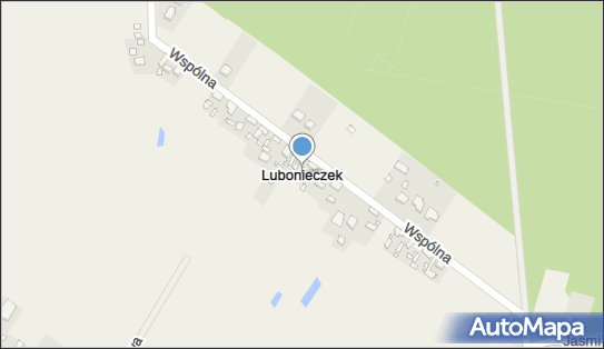 Lubonieczek, Lubonieczek - Inne