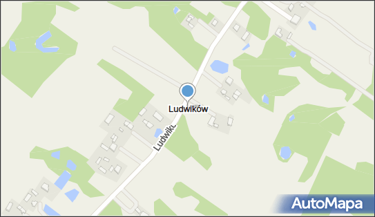 Ludwików (gmina Gąbin), Ludwików - Inne