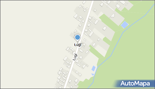 Ługi (powiat zgierski), Ługi - Inne