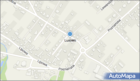 Lusowo (województwo wielkopolskie), Lusowo - Inne