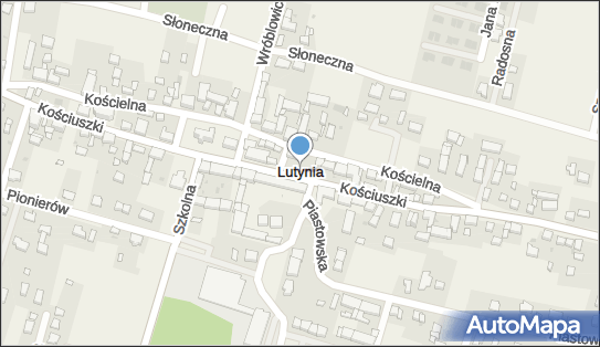 Lutynia (gmina Miękinia), Lutynia - Inne