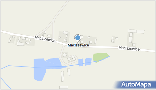 Maciszewice, Maciszewice - Inne