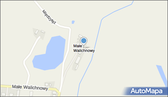 Małe Walichnowy, Małe Walichnowy - Inne