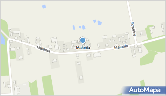 Malenia, Malenia - Inne