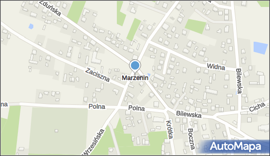 Marzenin (województwo łódzkie), Marzenin - Inne