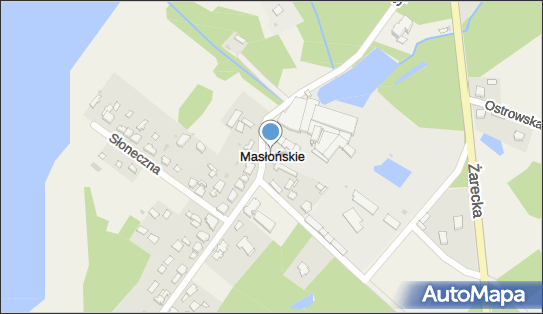 Masłońskie, Masłońskie - Inne