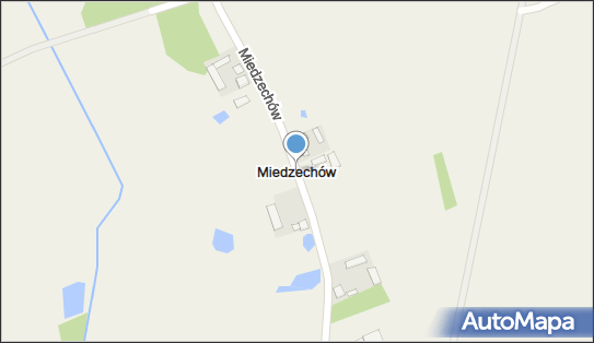 Miedzechów, Miedzechów - Inne