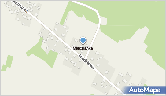 Miedzianka (województwo świętokrzyskie), Miedzianka - Inne