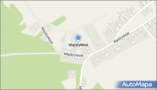 Międzylesie (powiat świebodziński), Międzylesie - Inne