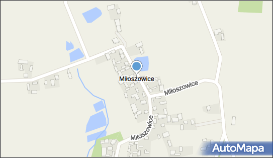 Miłoszowice, Miłoszowice - Inne