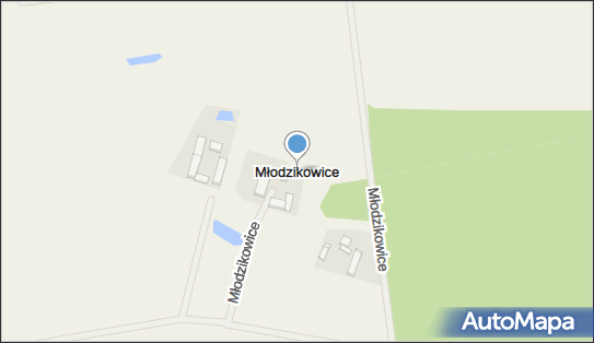 Młodzikowice, Młodzikowice - Inne