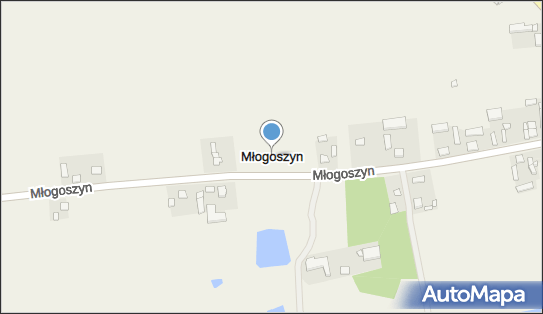 Młogoszyn, Młogoszyn - Inne