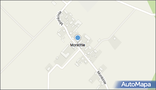 Monkinie, Monkinie - Inne