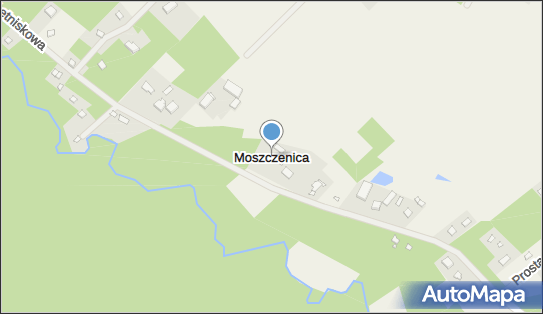 Moszczenica (powiat zgierski), Moszczenica - Inne