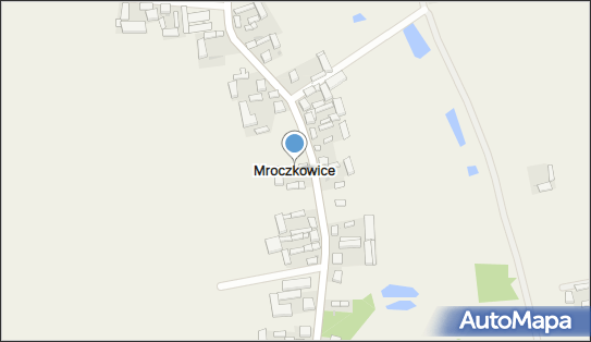 Mroczkowice (województwo łódzkie), Mroczkowice - Inne