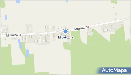 Mrowiczna, Mrowiczna - Inne