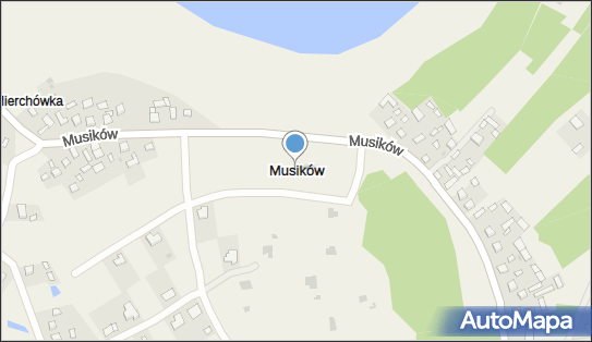 Musików, Musików - Inne