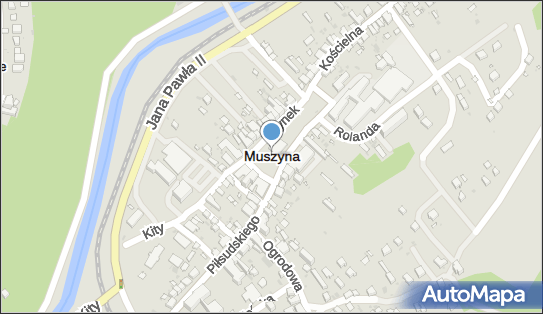 Muszyna, Muszyna - Inne